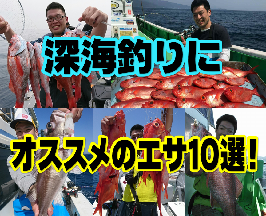 イシグロ半田店 【担当者厳選】深海釣りにオススメのエサ１０選！｜イシグロ半田店｜釣具のイシグロ |釣り情報サイト